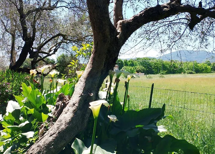 Casa vacanze La Tua Dimora Tra Le Cinque Terre E Le Alpi Apuane Sarzana