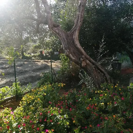 Casa vacanze La Tua Dimora Tra Le Cinque Terre E Le Alpi Apuane Sarzana