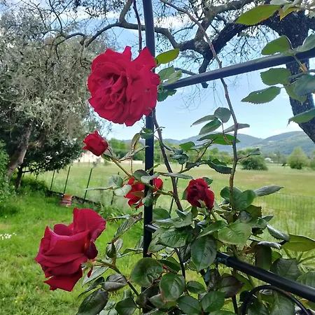 La Tua Dimora Tra Le Cinque Terre E Le Alpi Apuane Holiday home *